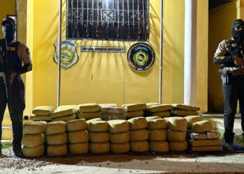 DNCD y MP incautan 1,300 libras de marihuana en Montecristi