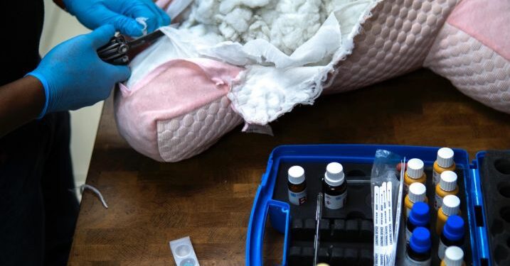 DNCD impide envío de peluche con cocaína hacia Australia