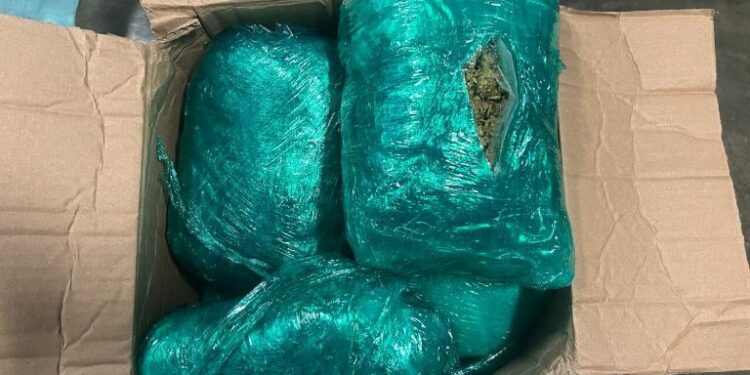 Marihuana oculta en ropa llega desde EE.UU. al aeropuerto de Las Américas