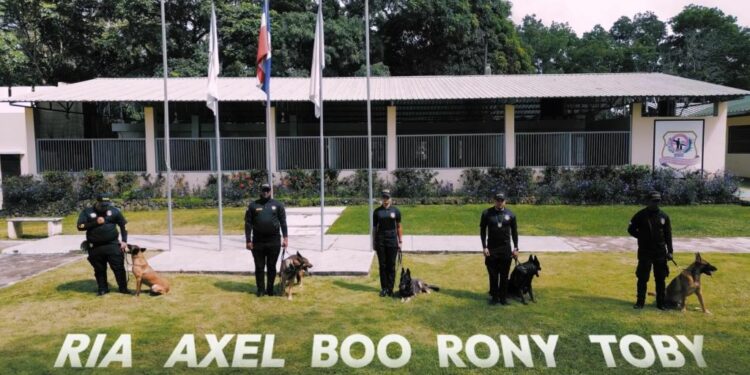 La DNCD retira con honores a cinco perros tras siete años de servicio