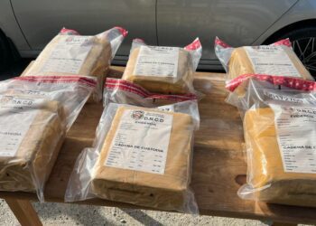 DNCD decomisa 140 pacas de marihuana en AILA y Barahona