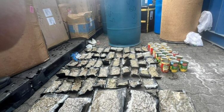 Ocupan 66 paquetes de marihuana ocultos en toallas sanitarias