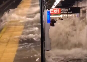 Tormenta en Nueva York paraliza vuelos y transporte terrestre