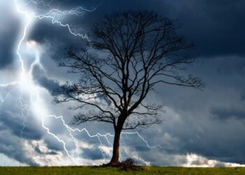 RD ya cuenta con el mayor parque solar de Centroamérica y el Caribe 