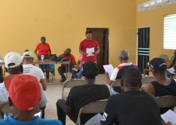 Organizaciones alarmadas por muertes misteriosas en Nizao 