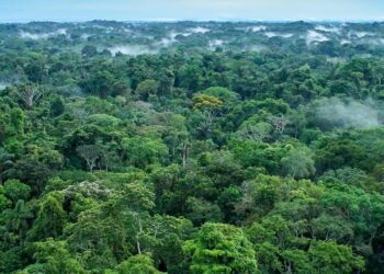 Banco de América Latina y el Caribe lanza bono sostenible por 1.500 millones