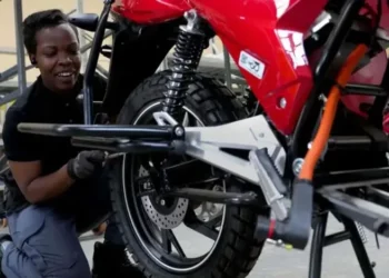 Las empresas jóvenes: verdaderos motores del empleo