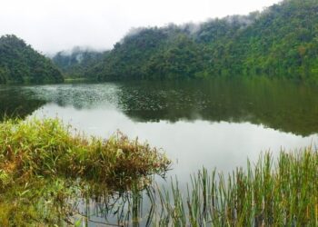 El enigma de la 'Ciudad Perdida' y la transformación del paisaje amazónico