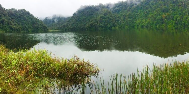 El enigma de la 'Ciudad Perdida' y la transformación del paisaje amazónico