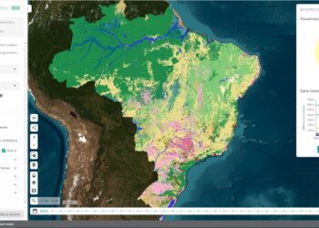 Brasil pierde selvas y bosques equivalentes al tamaño de Bolivia