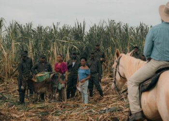 “Sugar Island” logra premios en festivales internacionales