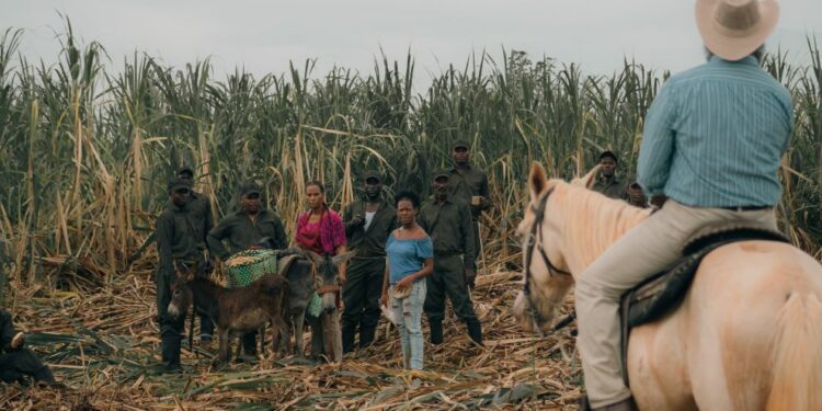 “Sugar Island” logra premios en festivales internacionales