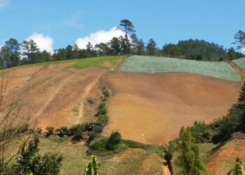 Alarma mundial: El 60% de la tierra en peligro