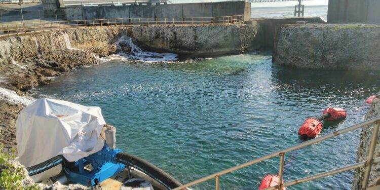 AES Andrés vuelve a operar tras bloqueo por sargazo