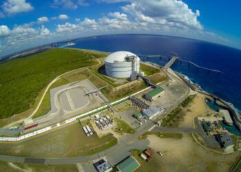 El sargazo saca del sistema eléctrico a una de las plantas de AES