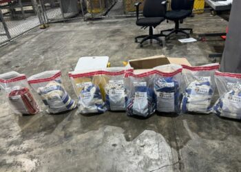 Hamacas de cocaína: DNCD frustra novedoso envío a Europa