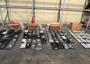 Incautan 98 paquetes de marihuana venían de Miami a SD Oeste