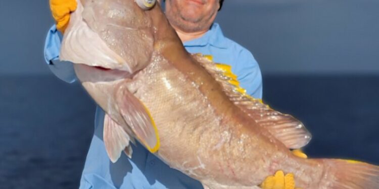 Un capitán dominicano entre los mejores guías de pesca