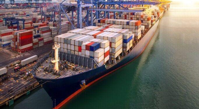 Adiós a los procesos manuales: Aduanas digitaliza envíos mudanceros y shipping