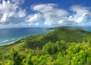 TNC impulsa el Panel de Conservación 30×30 para fortalecer la acción ambiental en el Caribe