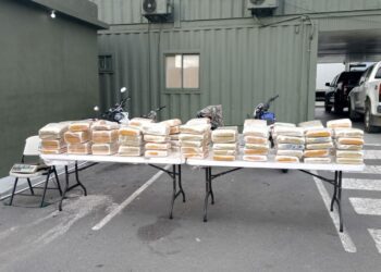 Golpe al narco en Baní: incautan media tonelada de marihuana