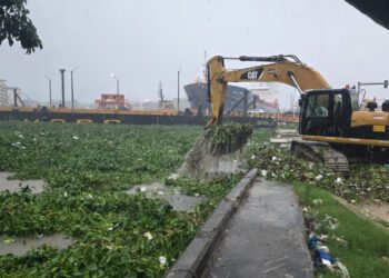 Acumulación de lodo y lilas obliga al cierre el puente flotante de Santo Domingo