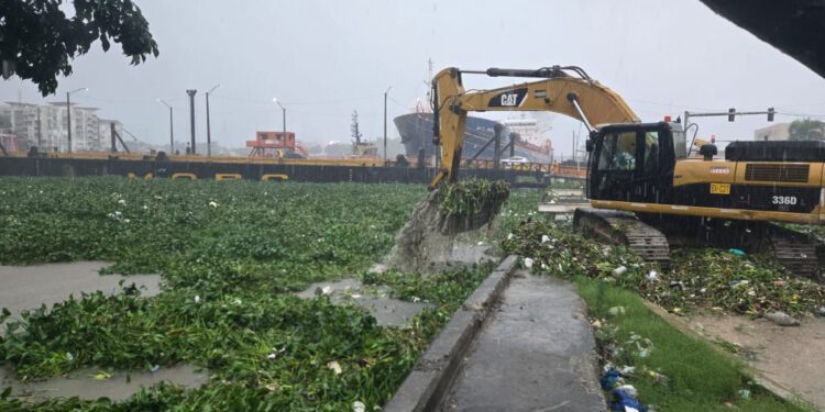 Acumulación de lodo y lilas obliga al cierre el puente flotante de Santo Domingo