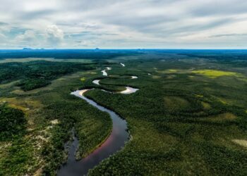 Banco de América Latina y el Caribe invertirá USD 40.000 millones en energía verde