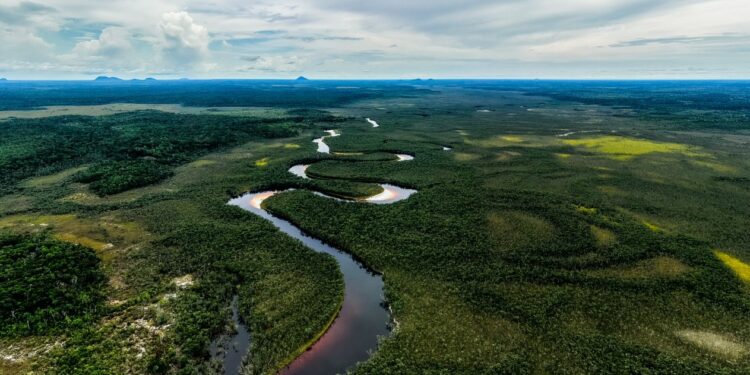 Banco de América Latina y el Caribe invertirá USD 40.000 millones en energía verde