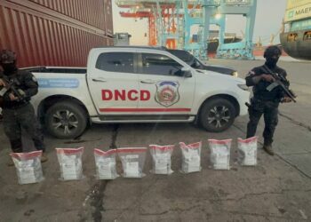 Frustran envío de cocaína oculta en Haina dirigida a Puerto Rico