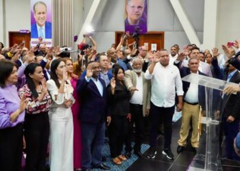 Danilo Medina ve "jinete" morado en la rienda del Estado