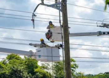 ETED informa trabaja en restablecer el servicio eléctrico
