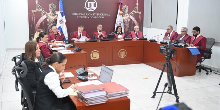 El Tribunal Constitucional deja 17 expedientes en estado de fallo
