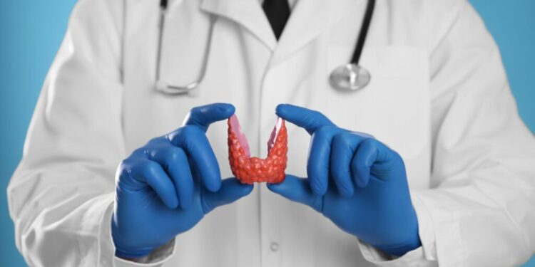 Endocrinólogos unifican fuerzas en Santiago: Nace filial norte de SODOENN